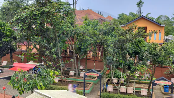 wahana taman buah dari atas mercusuar