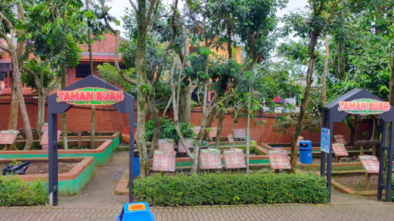 sayang nggak bisa petik buah